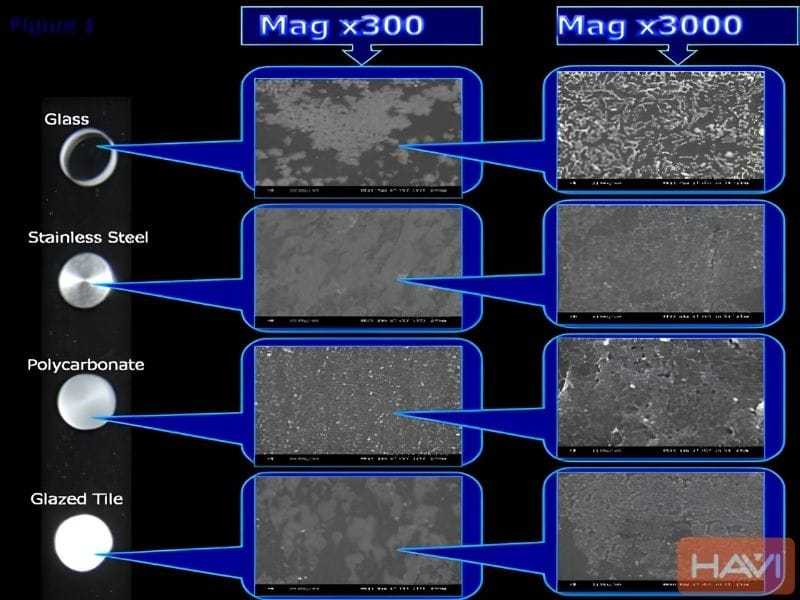 So sánh cấu trúc vi mô bề mặt inox 2B và BA ngăn chặn ổ vi khuẩn Biofilm